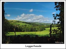 loggerheads north walessept 2011.jpg